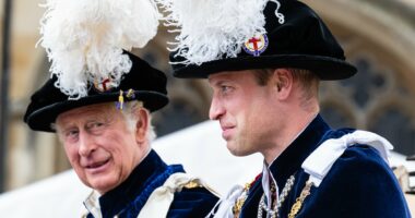 The hidden 'extras' taxpayers fork out to fund monarchy: ROBERT JOBSON
