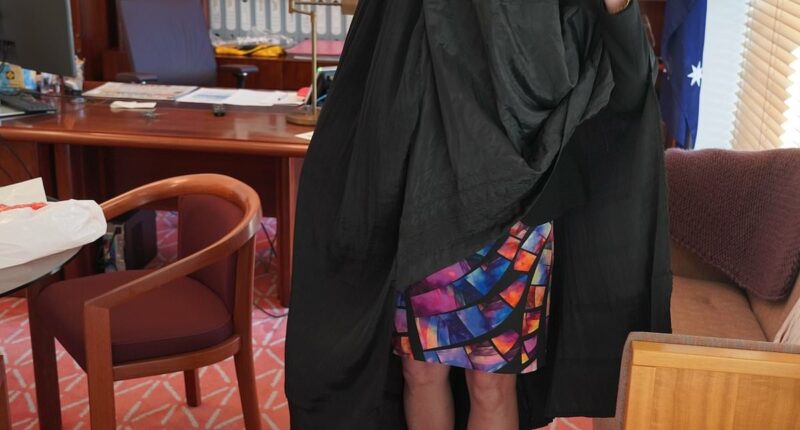 The huge problem with Pauline Hanson's burqa stunt