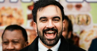 The man Trump calls a '100 per cent communist lunatic'... Zohran Mamdani has described capitalism as 'theft' and the police as 'evil' - and now he's set to be mayor of New York: TOM LEONARD