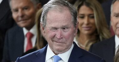 The secret life of George W Bush... and what he's been plotting