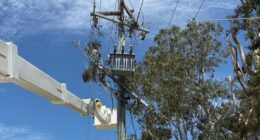 Thousands swelter without power as mercury soars again across south-east Queensland