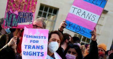 Three arrests as trans rights activists clash women's rights groups