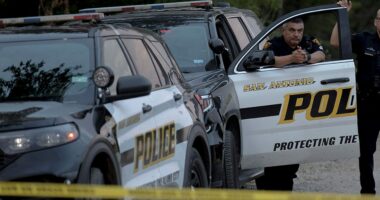 Three landscape supply employees gunned down in Texas shooting, police say