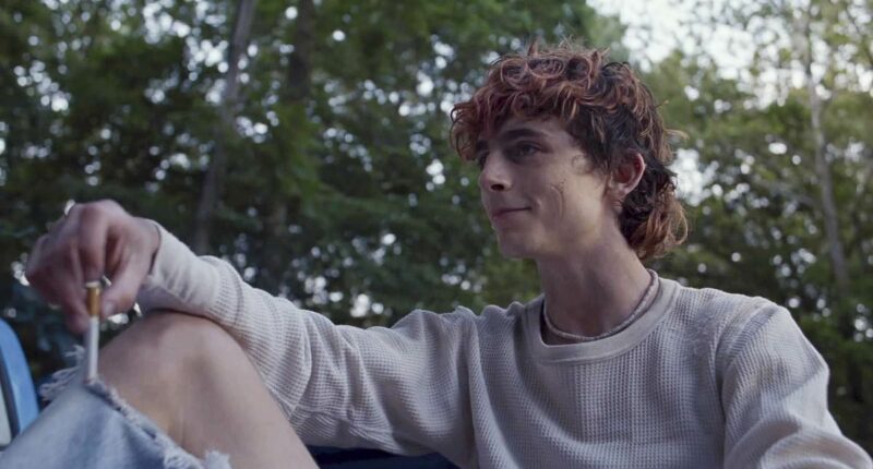 Timothee Chalamet's Vogue cover is slated by A-list former co-star