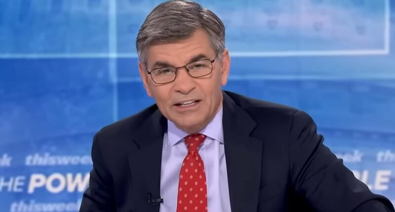 Top MAGA official's takedown of George Stephanopoulos sparks argument