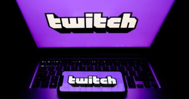 Top Twitch streamer files defamation lawsuit against fellow gamers