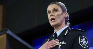 Top cop to call on INTERPOL to help fight neo-Nazi surge
