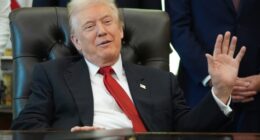 Trump Calls Democrats' Bluff, Demands Republicans Release the Epstein Files