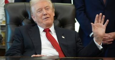 Trump Calls Democrats' Bluff, Demands Republicans Release the Epstein Files