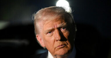 Trump Calls for House Republicans to 'Vote to Release' Epstein Files