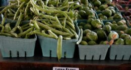 Trump administration faces a deadline to tell judges whether it will use contingency funds for SNAP