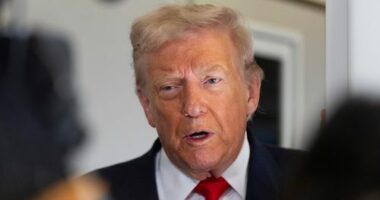 Trump administration must use emergency funds to cover food stamps, judges say