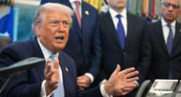 Trump administration to reexamine green cards issued to people from 'every country of concern'