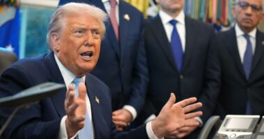 Trump administration to reexamine green cards issued to people from 'every country of concern'