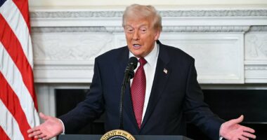 Trump admits shutdown contributed to GOP election hit