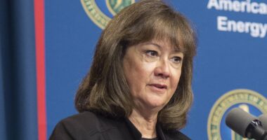 Trump appoints new FEMA 'terminator' in latest bid to 'clean house'