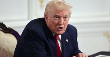 Trump bans South Africa from G20 summit over alleged human rights abuse