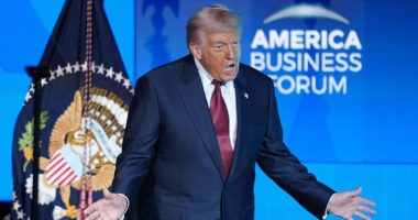 Trump browbeats Republicans ... and warns NYC mayor-elect Mamdani will turn US 'communist' in post-election rant