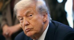 Trump celebrates UN resolution approving his Gaza ceasefire plan