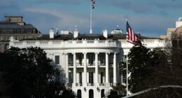 Trump commutes prison sentence for former private equity executive David Gentile