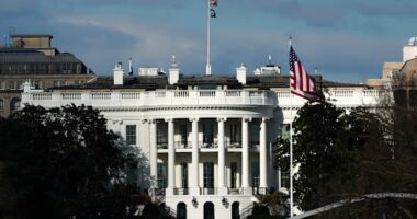 Trump commutes prison sentence for former private equity executive David Gentile