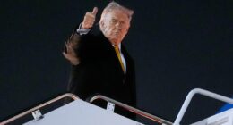 Trump eviscerates corrupt BBC execs for meddling in foreign election