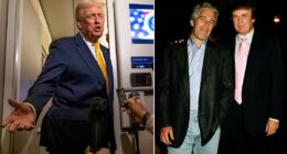 Trump fans conspiracy theories saying 'things' added to Epstein files