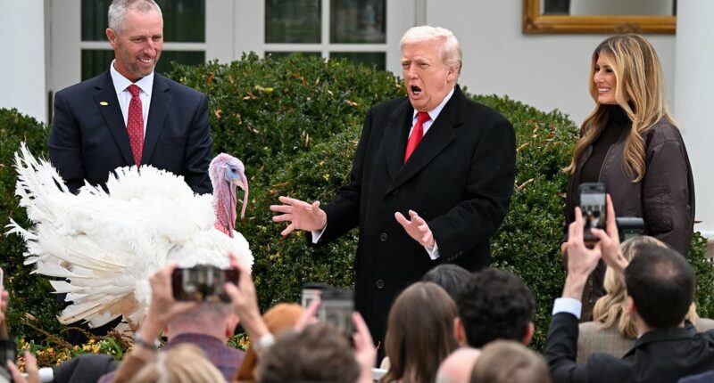 Trump gives Thanksgiving turkeys scathing nicknames in fiery speech
