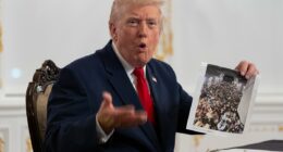 Trump halts migration and orders green card audit over Afghan shooter