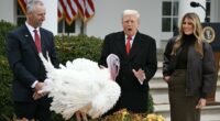 Trump most popular politician to have at Thanksgiving table... but the runner-up will infuriate the president