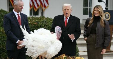 Trump most popular politician to have at Thanksgiving table... but the runner-up will infuriate the president