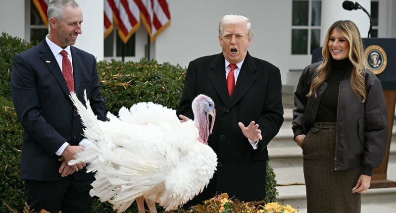 Trump most popular politician to have at Thanksgiving table... but the runner-up will infuriate the president