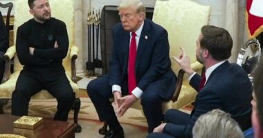 Trump paints Zelenskyy into a corner with his new plan to end Russia's war on Ukraine