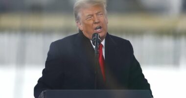 Trump pardons GOP operatives for trying to overturn 2020 election