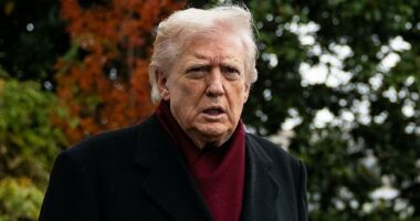 Trump pauses sending National Guard to NY after meeting with Mamdani