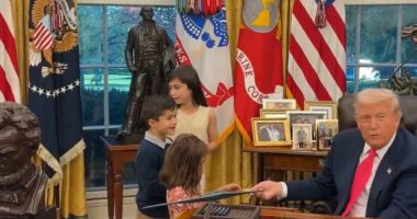 Trump rages at 'weak Republicans' over Epstein whiplash