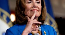 Trump rejoices at Nancy Pelosi's decision to finally quit Congress: 'She's a savage'