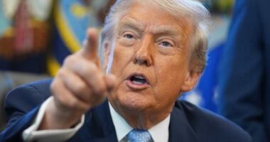 Trump says he will sell F-35s to Saudi Arabia on eve of crown prince's Washington visit