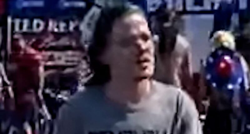 Trump shooter Thomas Crooks' disturbing trans 'furry' fantasies