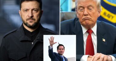 Trump slams Ukraine’s lack of ‘gratitude’ in wake of White House-backed peace plan to end war with Russia