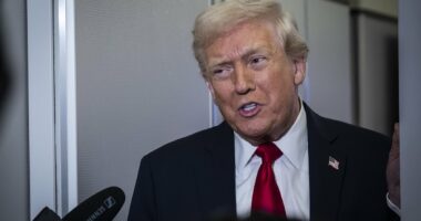 Trump slams 'ugly' female reporter behind NYT 'hit piece'