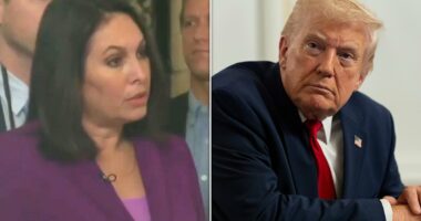 Trump snaps, 'are you a stupid person?' at reporter on Afghan shooter