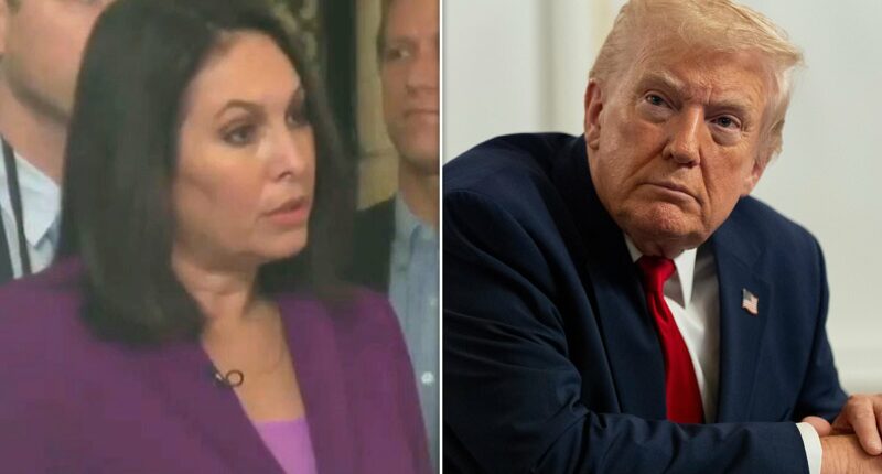 Trump snaps, 'are you a stupid person?' at reporter on Afghan shooter