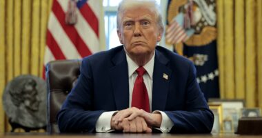 Trump targets Obamas in online posts