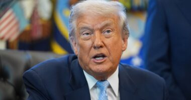 Trump tries to walk back death threats against 'traitor' Democrats as harassment escalates