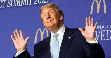 Trump uses McDonald's visit to sell affordability plan