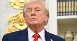 Trump's Epstein files capitulation betrays a rare weakness