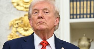 Trump's Epstein files capitulation betrays a rare weakness