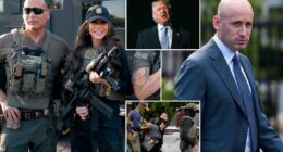 Trump's 'Department of Deportation' pursuit leaves child predators free to roam as agents are pulled from pedophile hunts