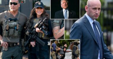 Trump's 'Department of Deportation' pursuit leaves child predators free to roam as agents are pulled from pedophile hunts